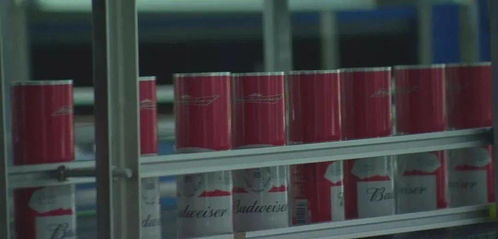 溫州印刷包裝企業求變創新 裝潢印務成轉型升級突破口